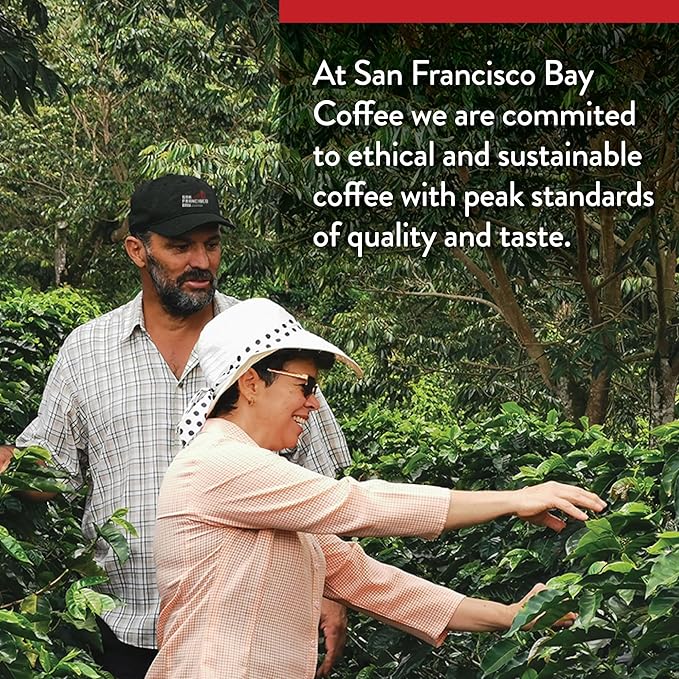 San Francisco Bay Compostable Coffee Pods - Fog Chaser (36 Ct) K Cup Compatible including Keurig 2.0, Medium Dark Roast