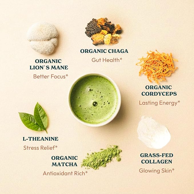 Mushroom Matcha with Collagen – Adaptogenic Matcha for Energy, Focus, & Mental Clarity – Enhanced with Lion’s Mane, Chaga, Cordyceps & L-Theanine (30 Servings)