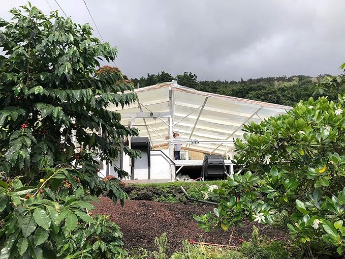 100% Kona Coffee – GROUND, Medium roast, Single estate gourmet coffee, 8 ounces, Farm fresh roasted from Domain Kona Coffee
