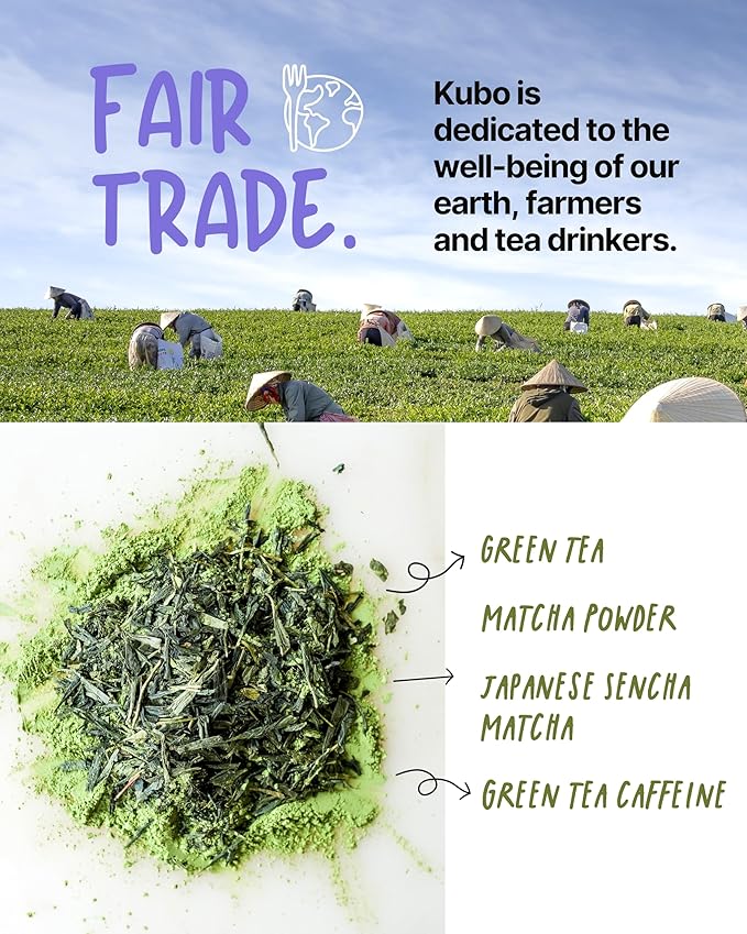 High Caffeine Tea (140 mg) - Kubo Tea: Organic Japanese Matcha Green Tea Bags for Focus, Calm Energy & Clarity | Healthy Coffee Substitute | Matcha Energy Blend | 20 Ct | Compostable Packaging