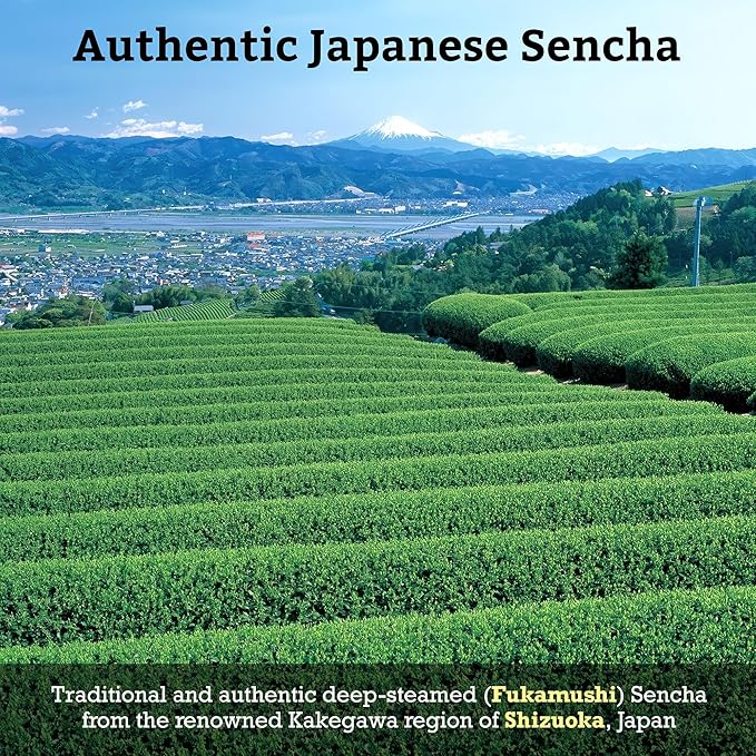 SUGIMOTO TEA Japanese Hojicha Roasted Green Tea Loose Leaf 2.0 oz (57 g) Pack of 1