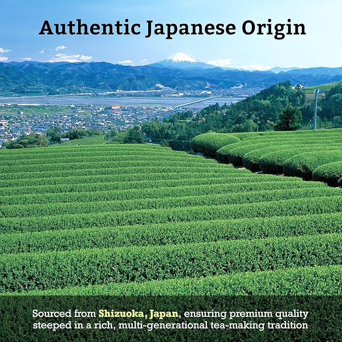 SUGIMOTO TEA Japanese Sencha Green Tea Leaf Bulk 1.0 lb (454 g) Pack of 1