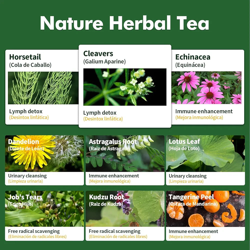 Cleavers Lymphatic Drainage Tea Bags for Lymph System Support, Horsetail and Dandelion Organic Herbal Formula, Lymphatic Cleanse & Detox, Edema Relief. Te de Cola de Caballo Herb. 30 Bags