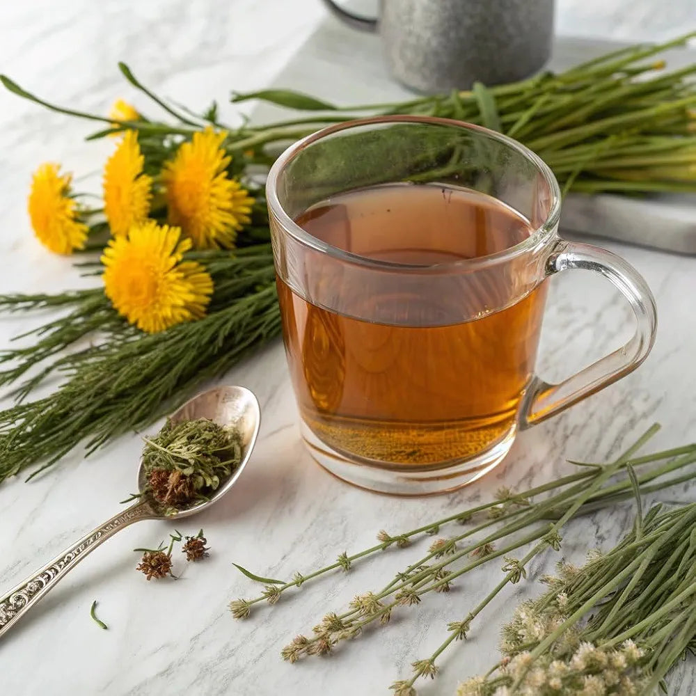 Cleavers Lymphatic Drainage Tea Bags for Lymph System Support, Horsetail and Dandelion Organic Herbal Formula, Lymphatic Cleanse & Detox, Edema Relief. Te de Cola de Caballo Herb. 30 Bags