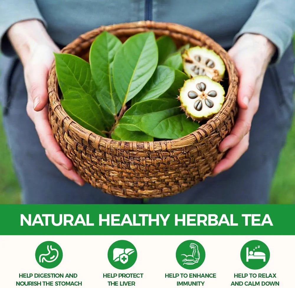 Whole Green Soursop Leaves (4 oz) - Approx 300+ Large Dried Graviola Leaves (Annona Muricata) - 100% Natural Wildcrafted Guanabana Tea - Naturally Gluten-Free & Caffeine-Free - Hand-Selected